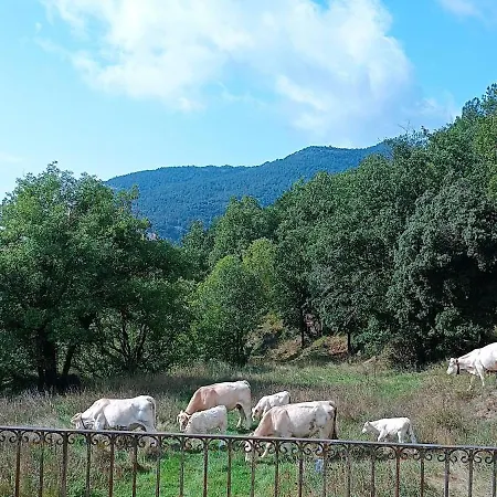Unique Natural Place In Llosa Del Cavall Apartment